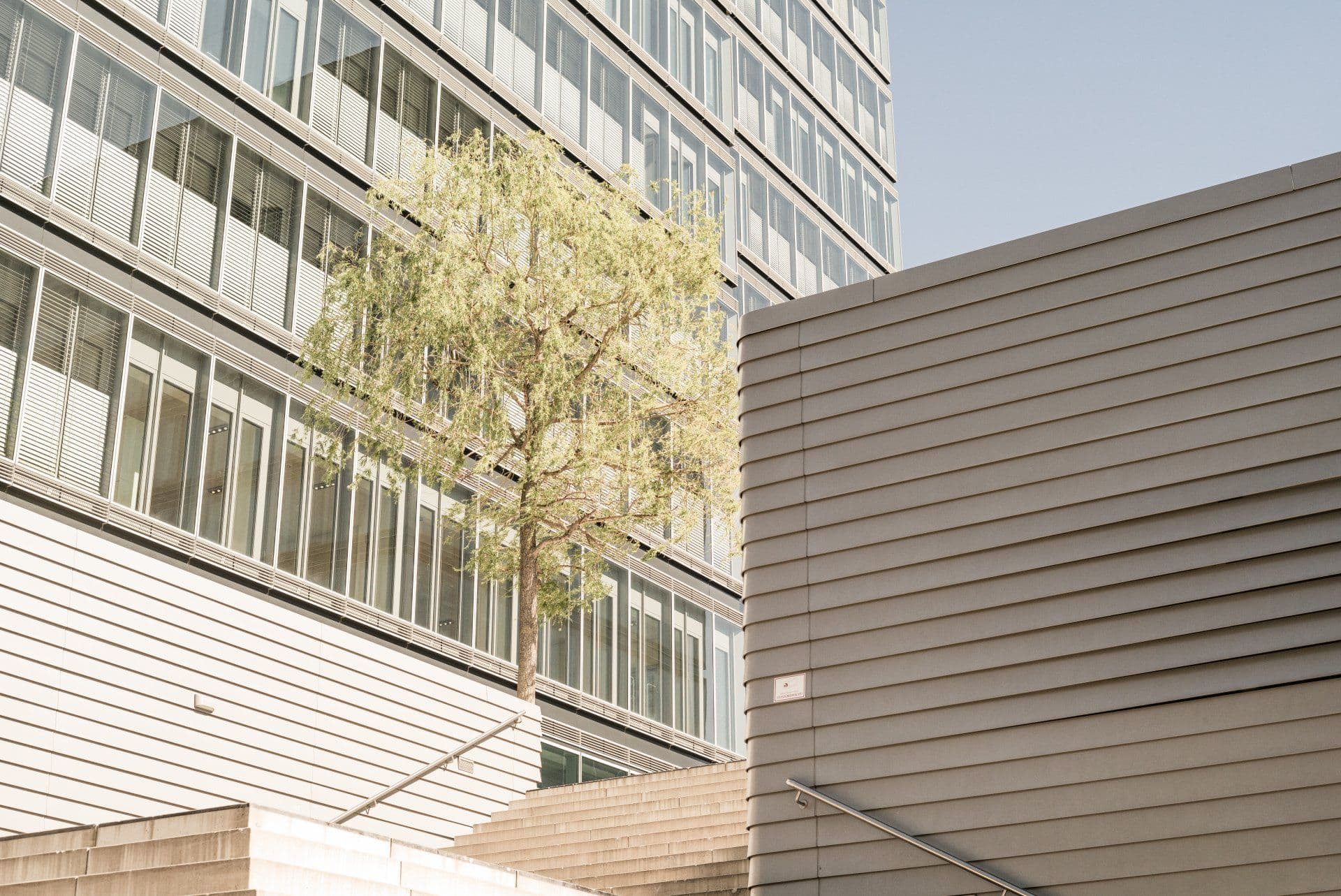 Der Gewerbemietvertrag in der Insolvenz